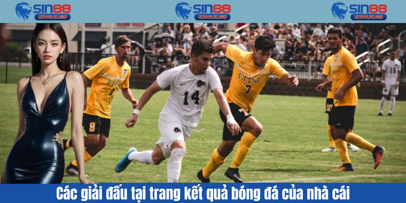 Các giải đấu tại trang kết quả bóng đá của nhà cái