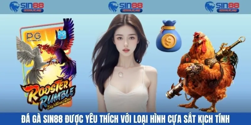 Đá gà Sin88 được yêu thích với loại hình cựa sắt kịch tính