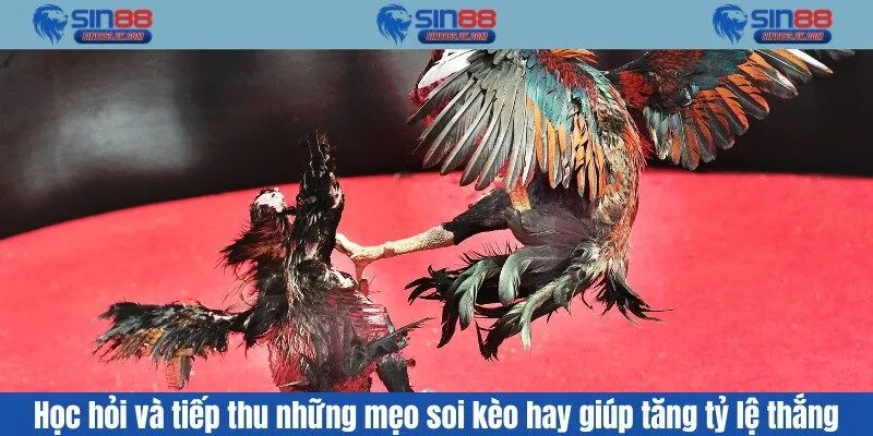 Học hỏi và tiếp thu những mẹo soi kèo hay giúp tăng tỷ lệ thắng