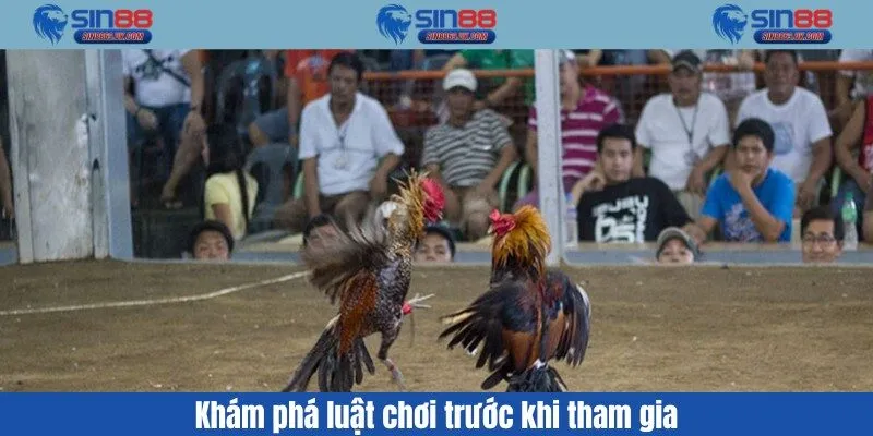 Khám phá luật chơi trước khi tham gia