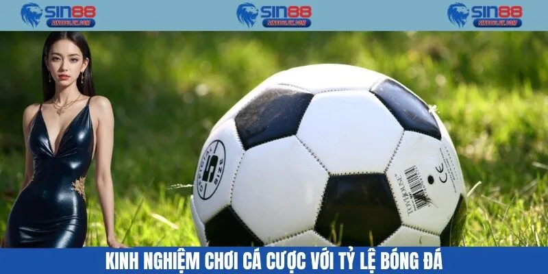 Kinh nghiệm chơi cá cược với tỷ lệ bóng đá
