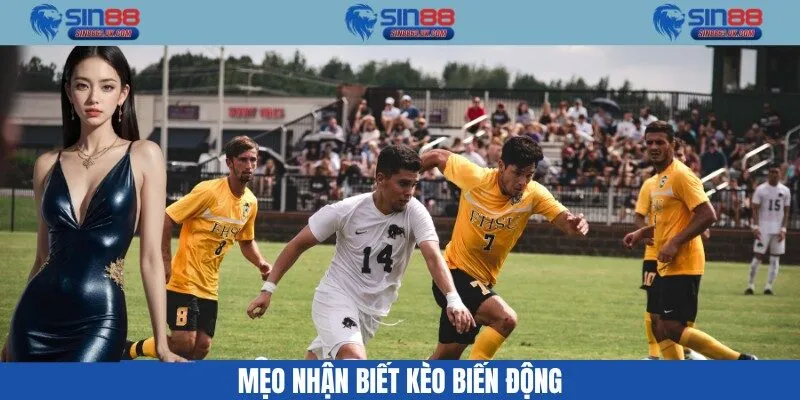 Mẹo nhận biết kèo biến động