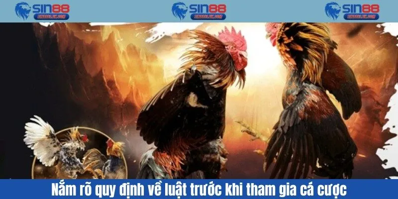 Nắm rõ quy định về luật trước khi tham gia cá cược