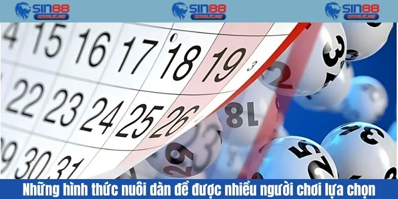 Những hình thức nuôi dàn đề được nhiều người chơi lựa chọn