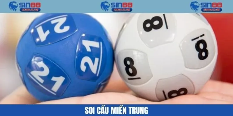 Soi Cầu Miền Trung