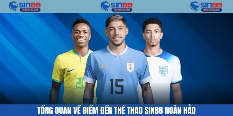 Tổng quan về điểm đến thể thao Sin88 hoàn hảo