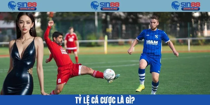 Tỷ lệ cá cược là gì?